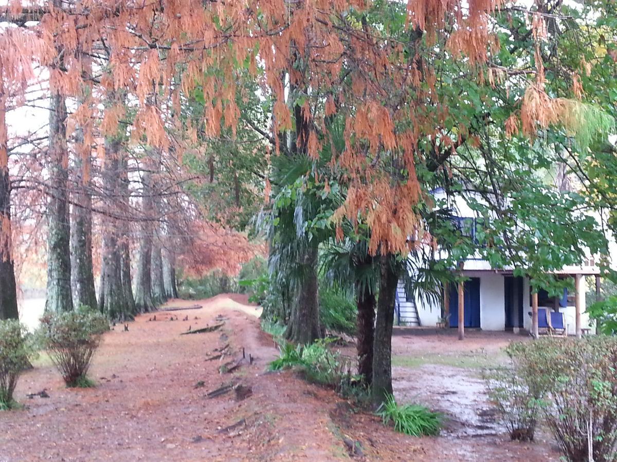 Вилла Casa Del Bosque Тигре Экстерьер фото